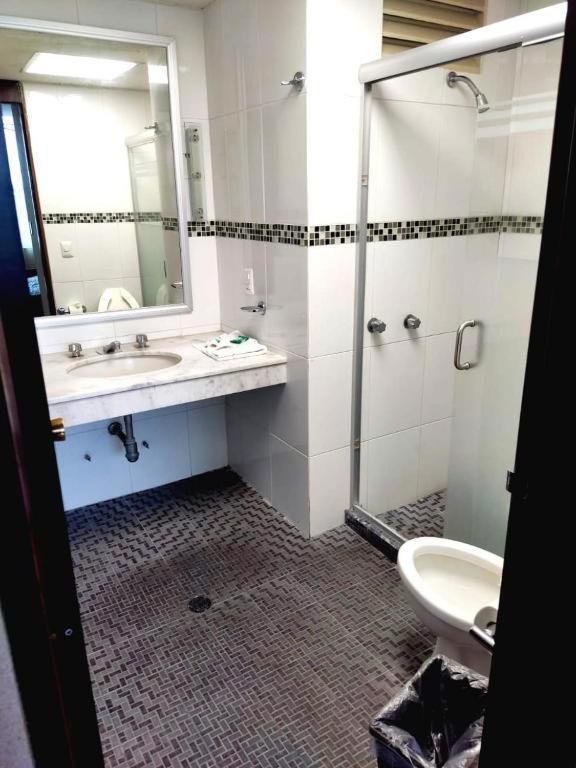 Hotel Mary Celaya Celaya  Eksteriør billede